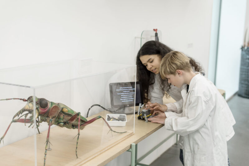 Bionik_PHSG_NMSG_Foto-von-Leo-Boesinger-800x533